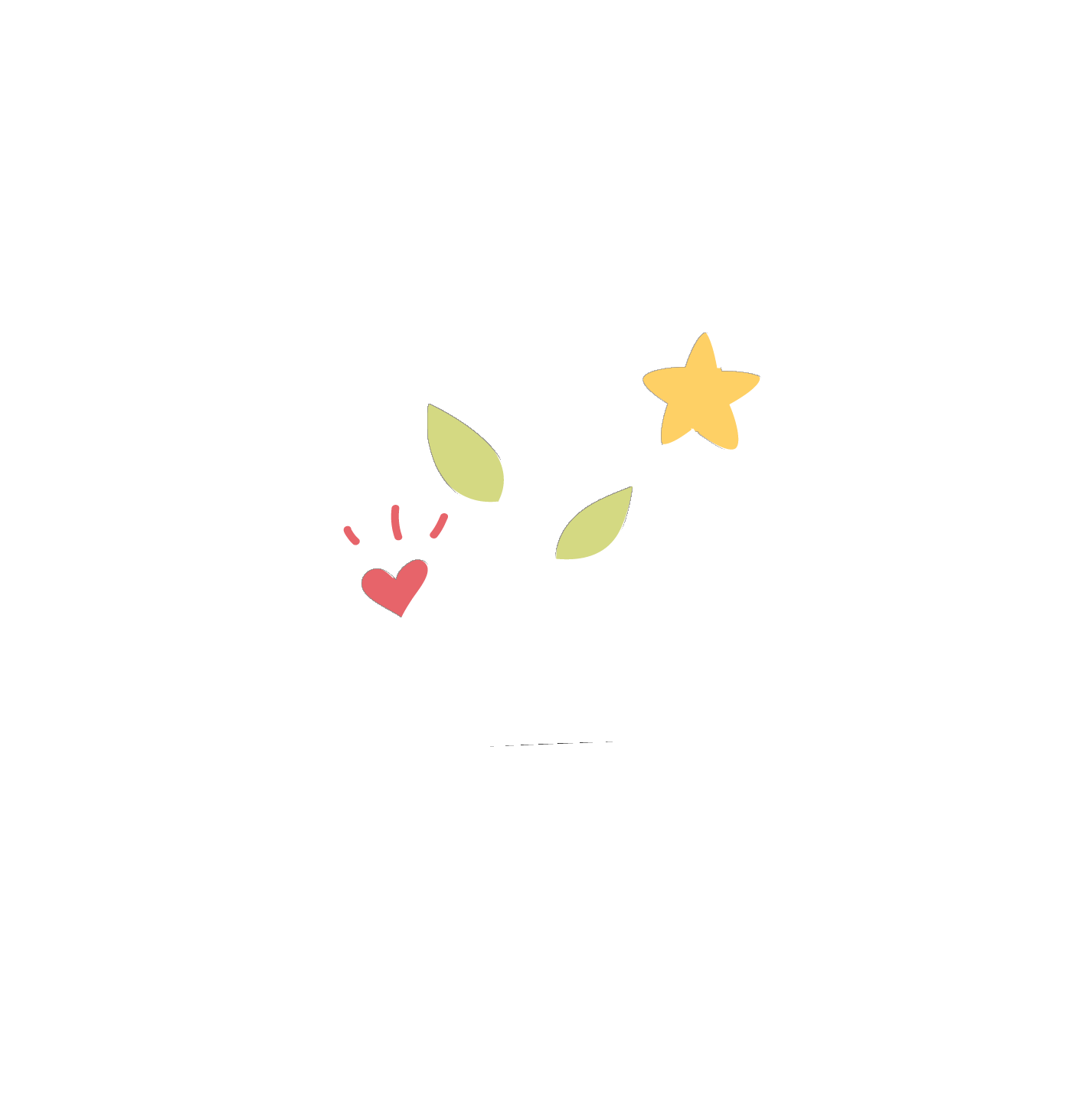 Home Organizer Certifiée