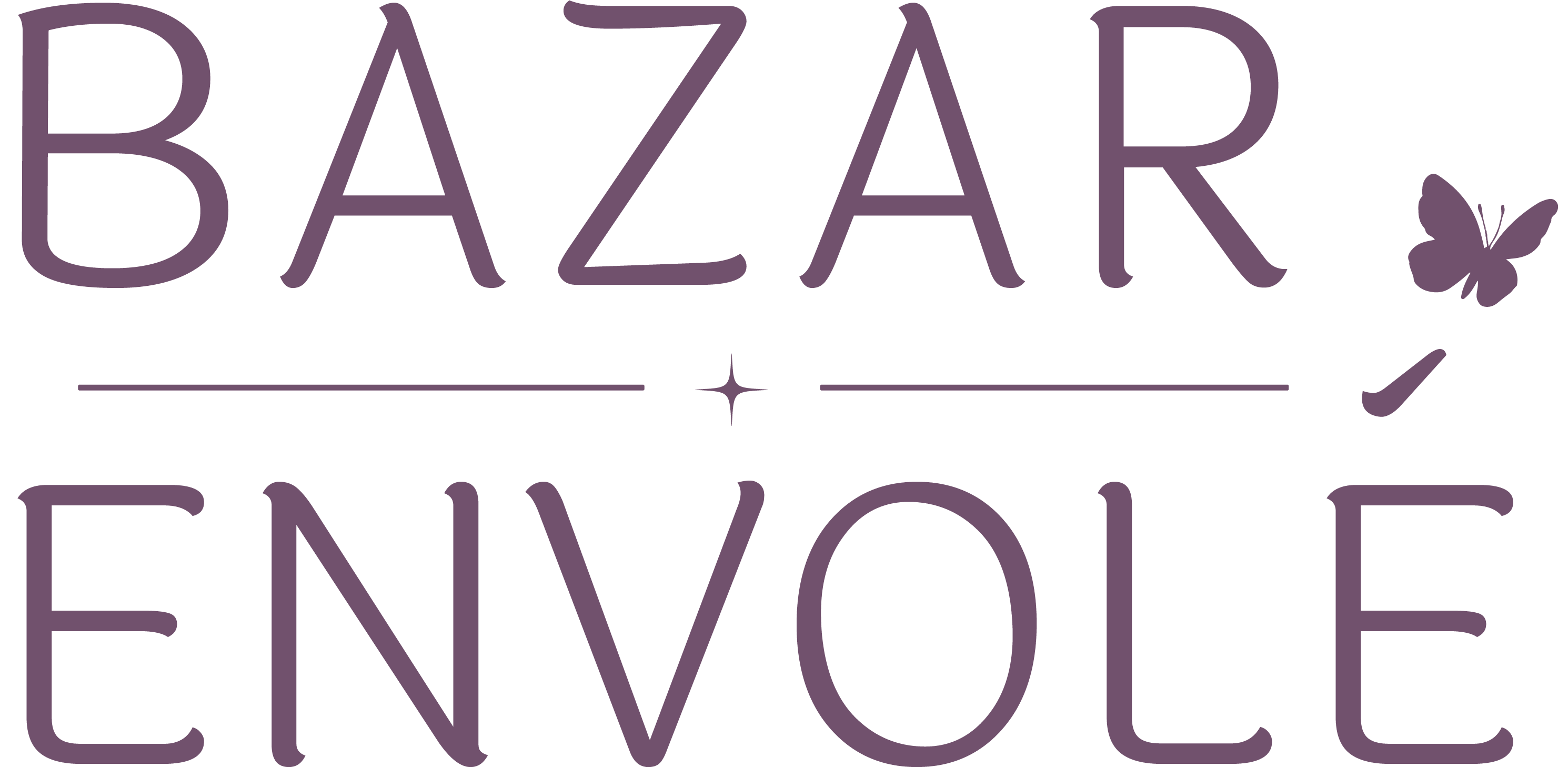Bazar Envolé Logo